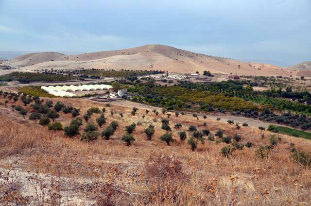 The project to utilise arable lands, as per the Royal vision to achieve food security, helps in reducing poverty and unemployment levels, Minister of Agriculture Mohammad Daoudiyeh said (JT file photo)